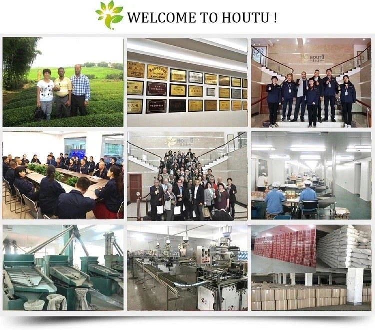 H20ba934b7496403e9911f00c74243707w H20ba934b7496403e9911f00c74243707w