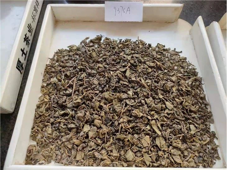 buy Gunpowder Tea
