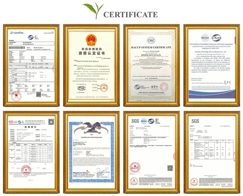 La guida completa ai certificati di esportazione del tè: spiegazione dei cert...