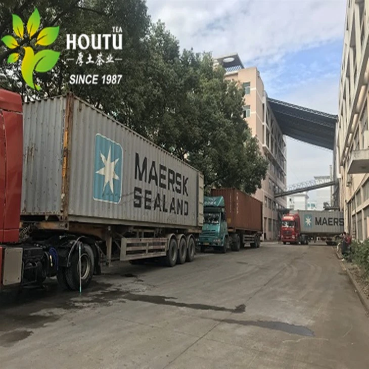 4011 Green Tea Exporter to morocco and Europe market 